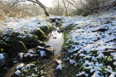 Swanbrook Valley brook in snow